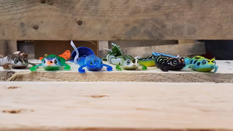 Grodset - nya Lucky Box. Först till kvarn. Begränsat antal. Fri frakt