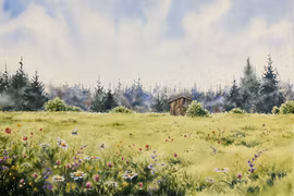 Pollinera mera