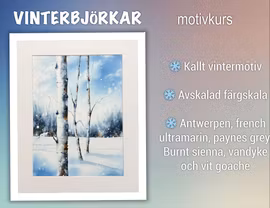 VINTERBJÖRKAR, motivkurs