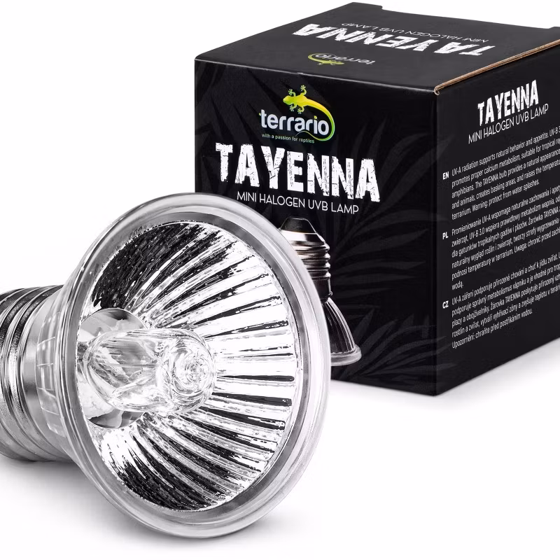 Terrario Tayenna 50W - mini halogen UVB
