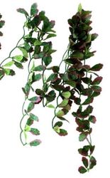 Repti-Zoo hängande växt röd murgröna 40cm