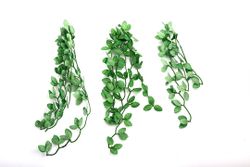 Repti-Zoo hängande växt 40cm - Fittonia