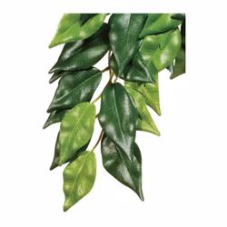 EXO TERRA hängande växt Fikus 55cm