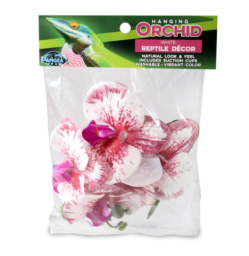 Pangea Hängande Orkidé Vit/Rosa