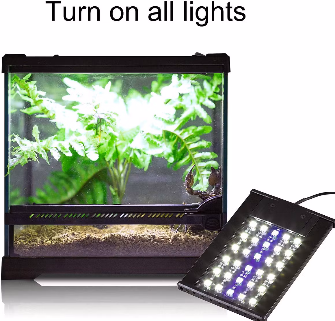 Repti-Zoo LED Terrariumlampa 6W