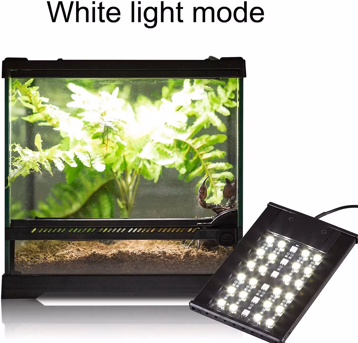 Repti-Zoo LED Terrariumlampa 6W