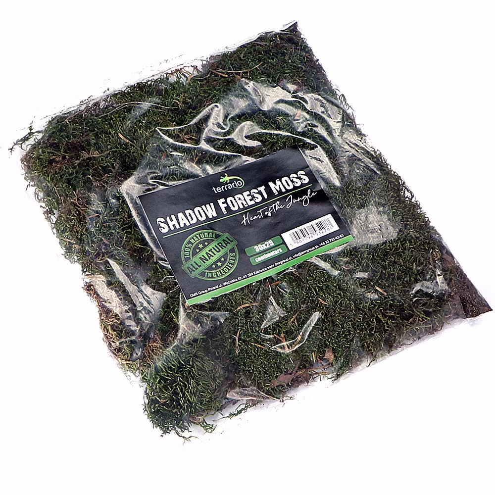 Terrario Shadow Forest Moss - Naturlig mossa