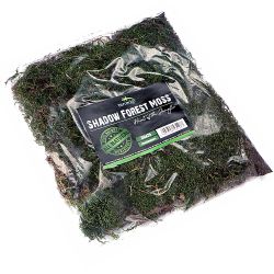 Terrario Shadow Forest Moss - Naturlig mossa