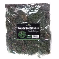 Terrario Shadow Forest Moss - Naturlig mossa
