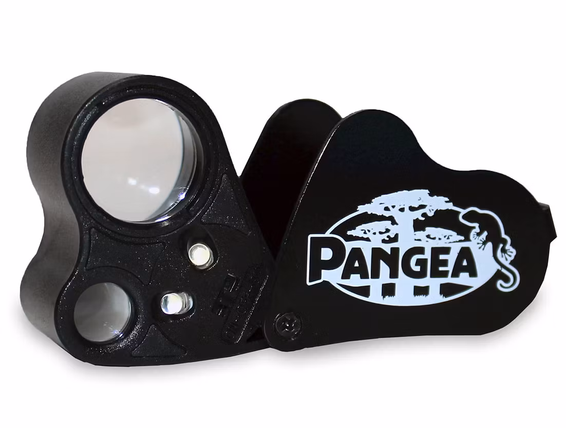 30x-60x Pangea Gecko Sexing Loupe