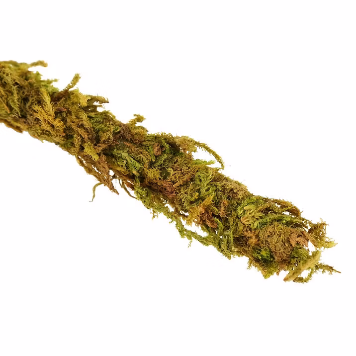 Lian med naturlig mossa 2 cm x 2m