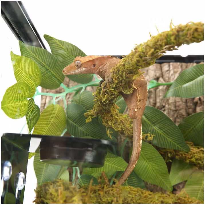 Lian med naturlig mossa 2 cm x 2m