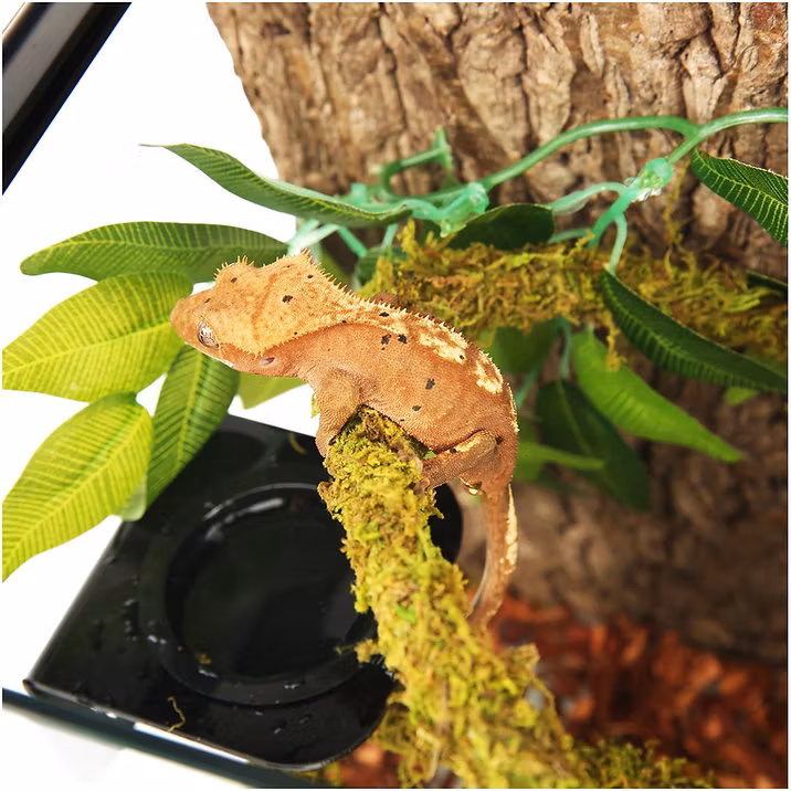 Lian med naturlig mossa 2 cm x 2m