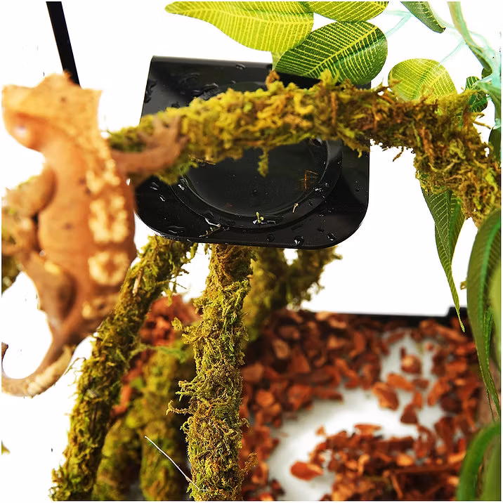 Lian med naturlig mossa 2 cm x 2m