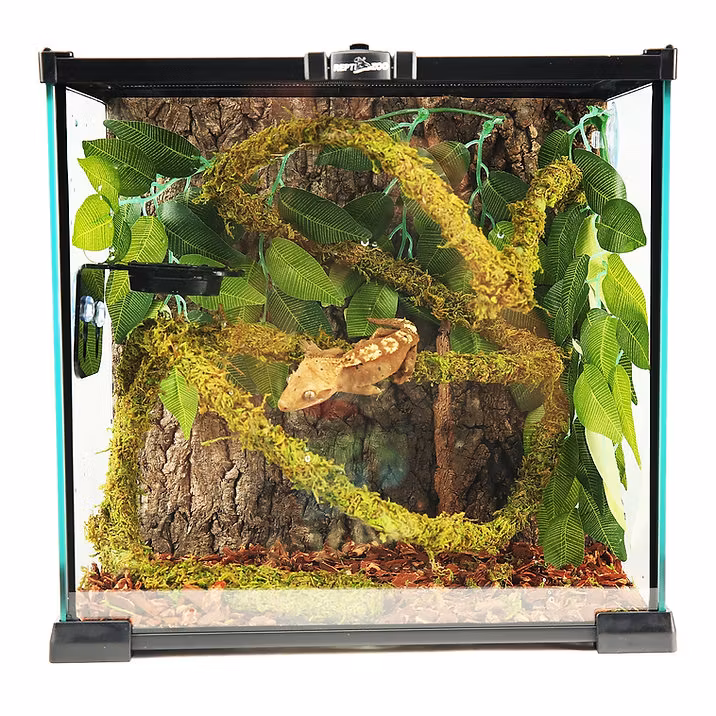 Lian med naturlig mossa 2 cm x 2m