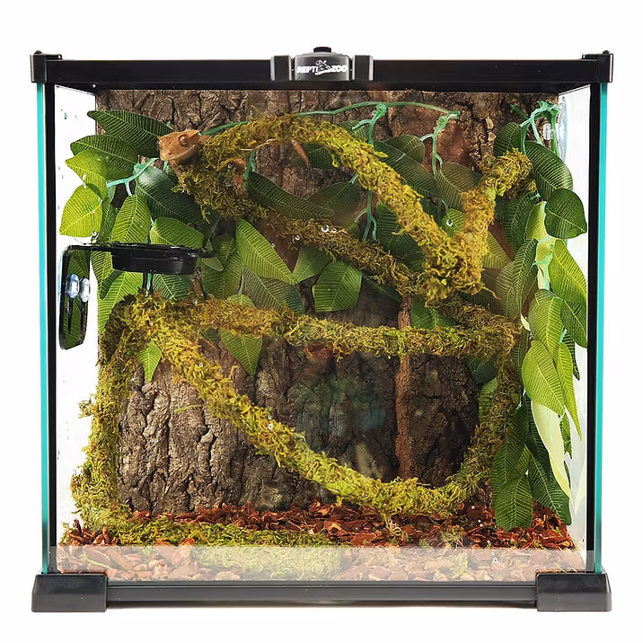 Lian med naturlig mossa 2 cm x 2m
