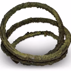 Pangea Ultimate lian