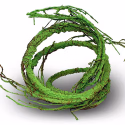 Pangea Ultimate lian med grenar.