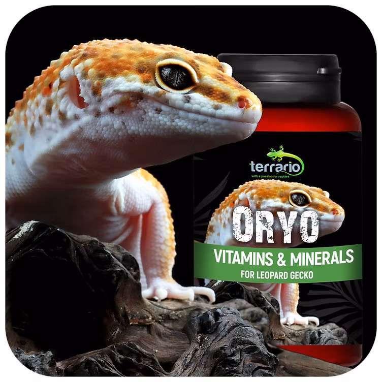 Terrario ORYO för leopardgecko 150g