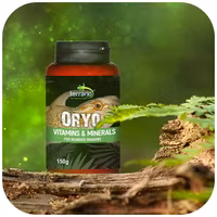 Terrario ORYO för skäggagamer 150g