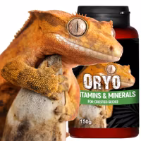 Terrario ORYO för Crested Gecko 150g