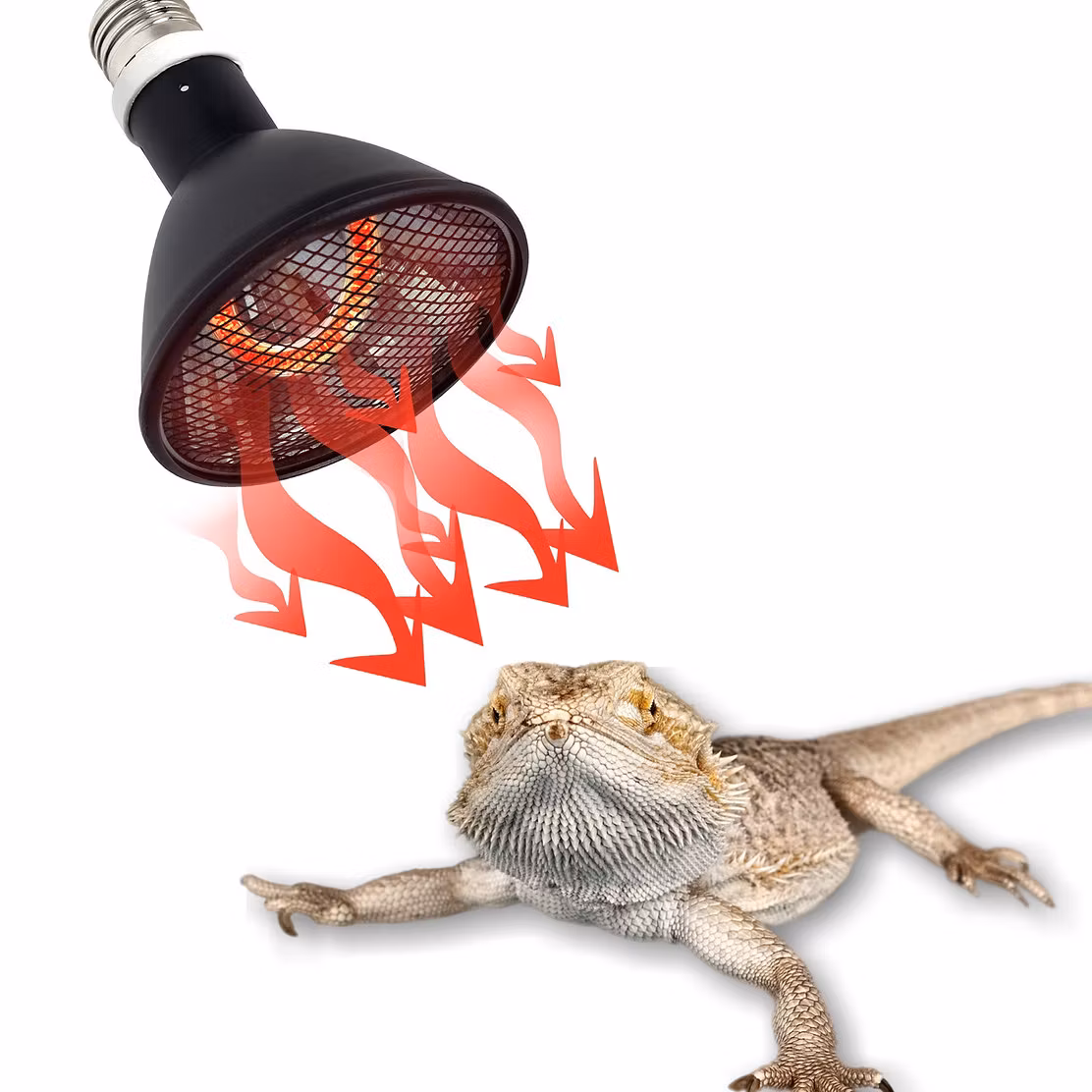 Repti-Zoo Deep Heater