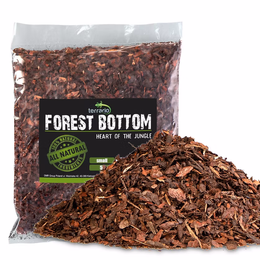 Terrario Forest Bottom Small 5l