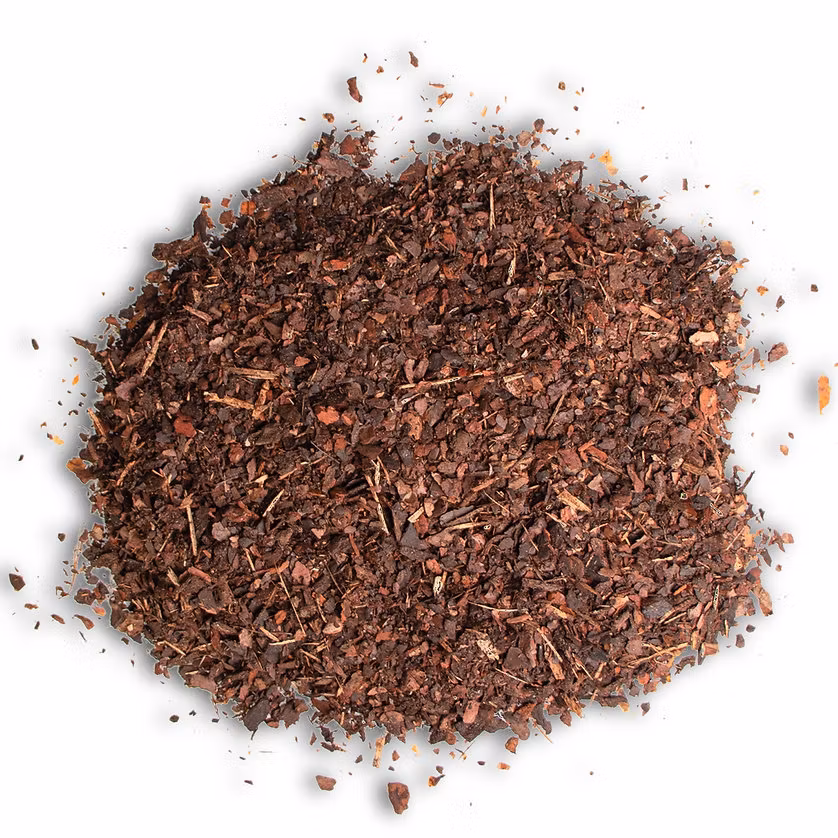 Terrario Forest Bottom Small 5l