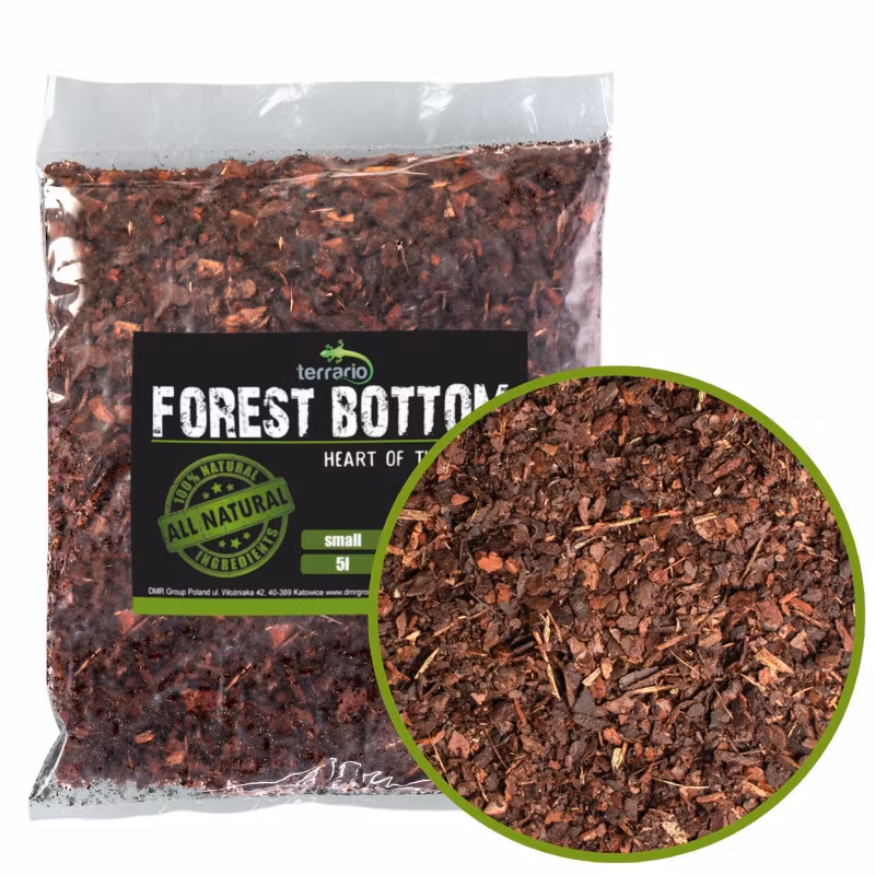 Terrario Forest Bottom Small 5l
