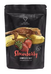 Gecko Nutrition Strawberry