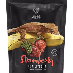 Gecko Nutrition Strawberry