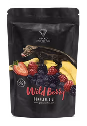 Gecko Nutrition Wildberry