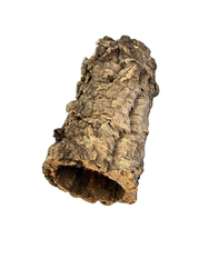 Korkrör