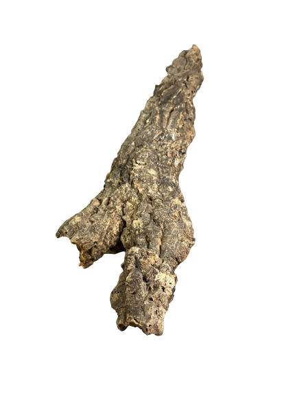 Korkrör