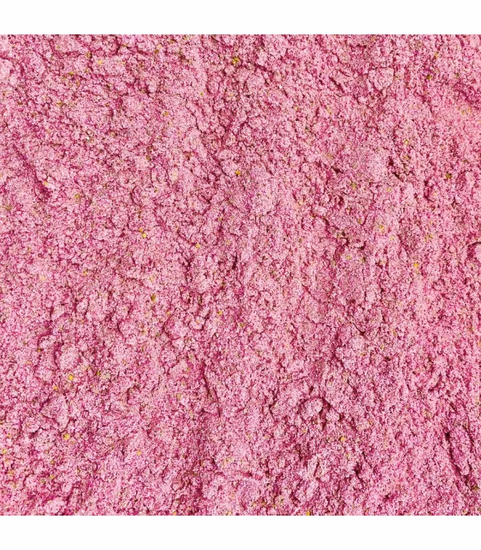 LUGARTI Premium Gecko Diet - Dragon Fruit 57g