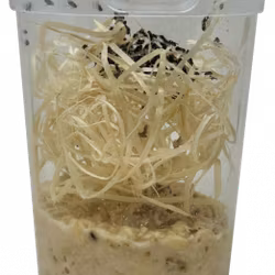 Plastburk med lufthål 512ml