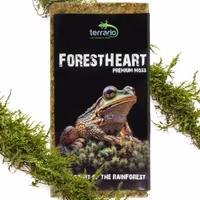 Terrario ForestHeart Sphagnum Moss