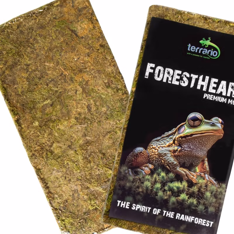 Terrario ForestHeart Sphagnum Moss