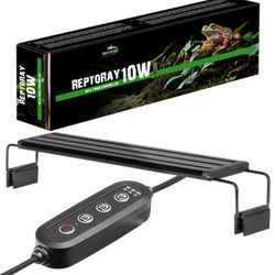 Terrario Reptoray 10w