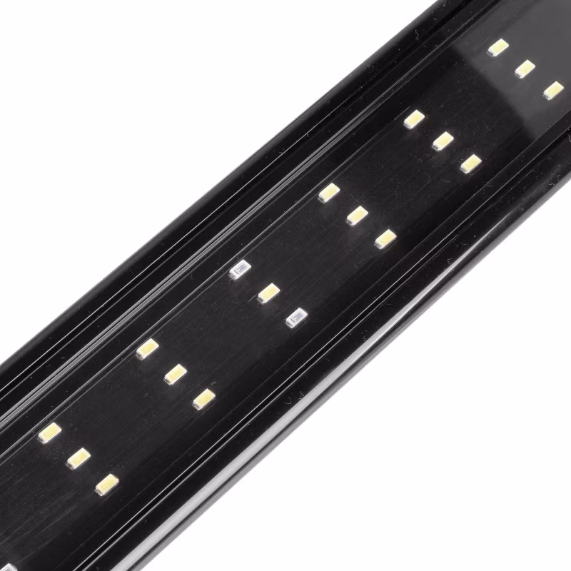Terrario Reptoray 24w