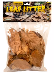 Leaf litter