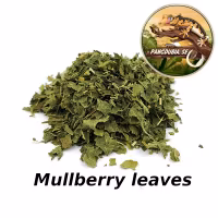 Pangdubia Mullberry Leaves 1 L