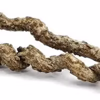 Pangdubia Kork-lian 50cm