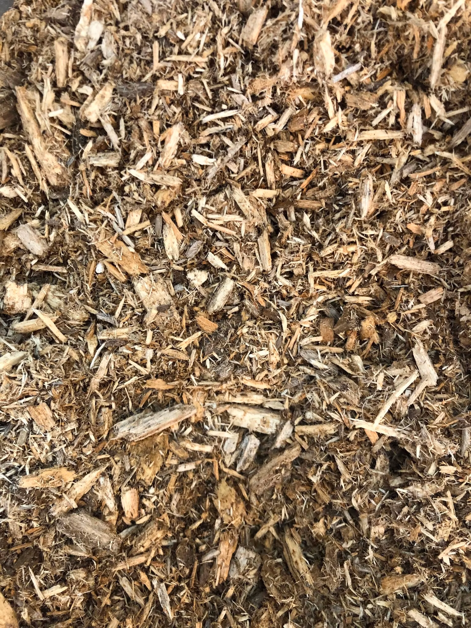 Vitröta (White Rotten Wood) av Bok & Ek – 1 Liter