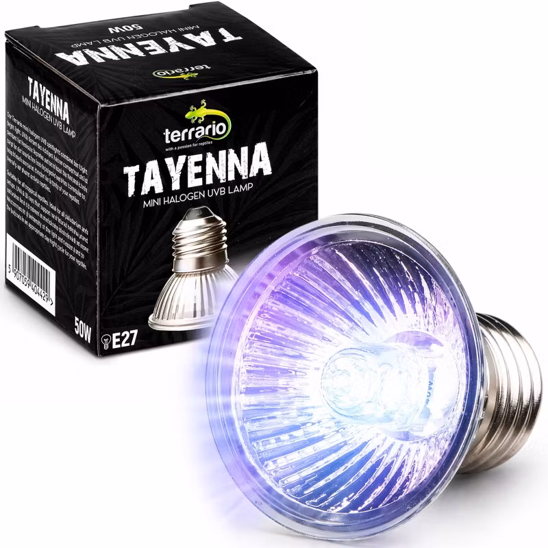 Terrario Tayenna 25W - mini halogen UVB