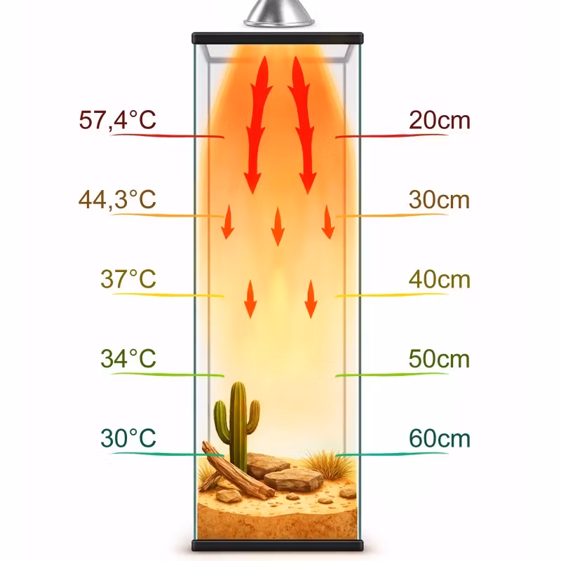 Terrario Nadara Pro 25W - Halogen