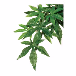 Repti-Zoo Hängande Hibiskus (40 cm)