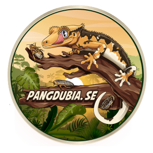 Pangdubia