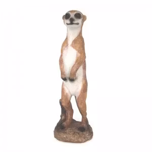 Meerkat