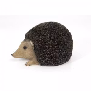 pindsvin, medium